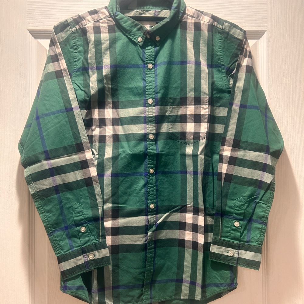 Burberry | Green and Blue Casual Button Down Shirt